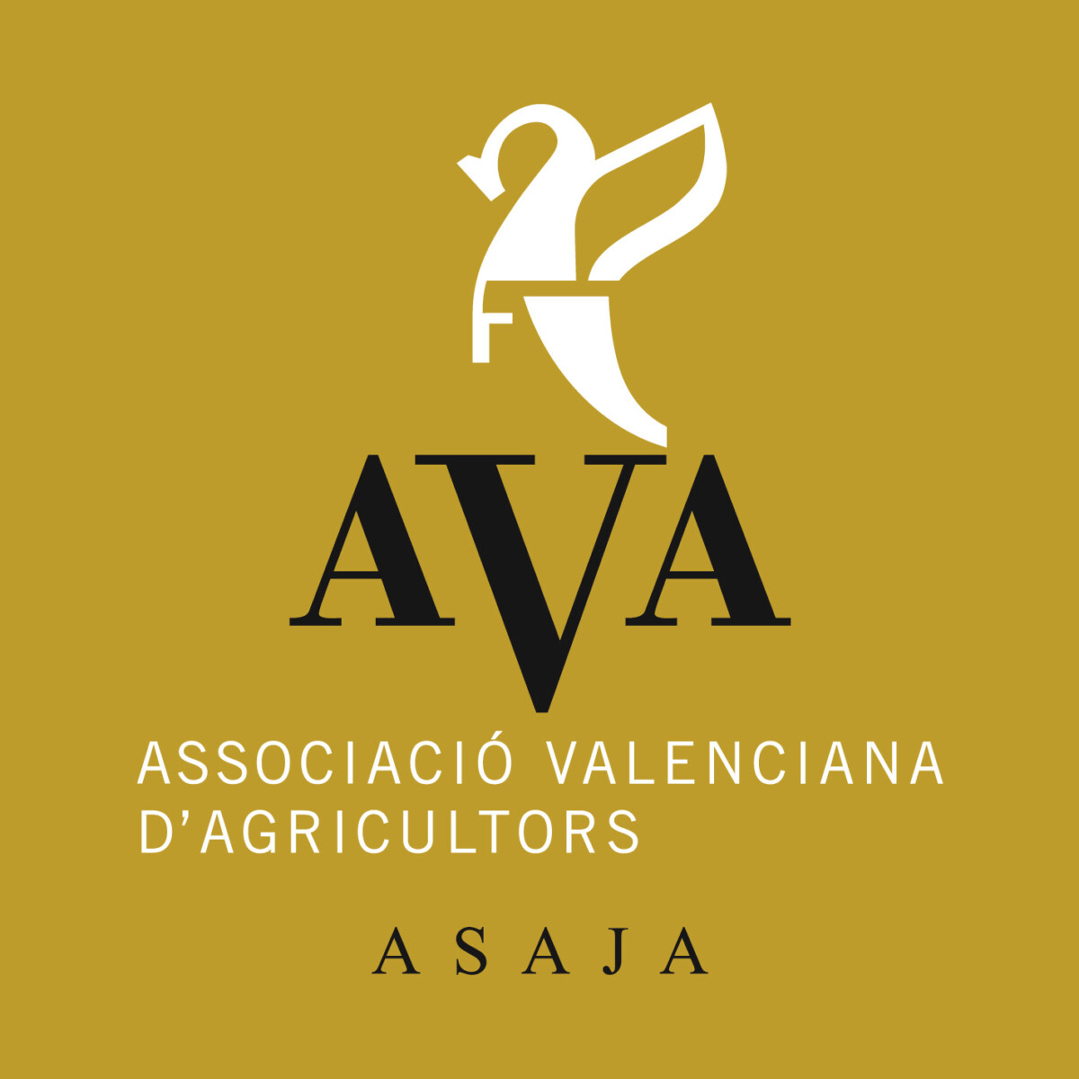 Logo_AVA-ASAJA Logo AVA ASAJA