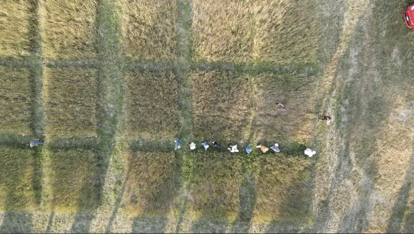 From community of practices to decision support network: building bridges between practice, research, and citizenship to spread innovation