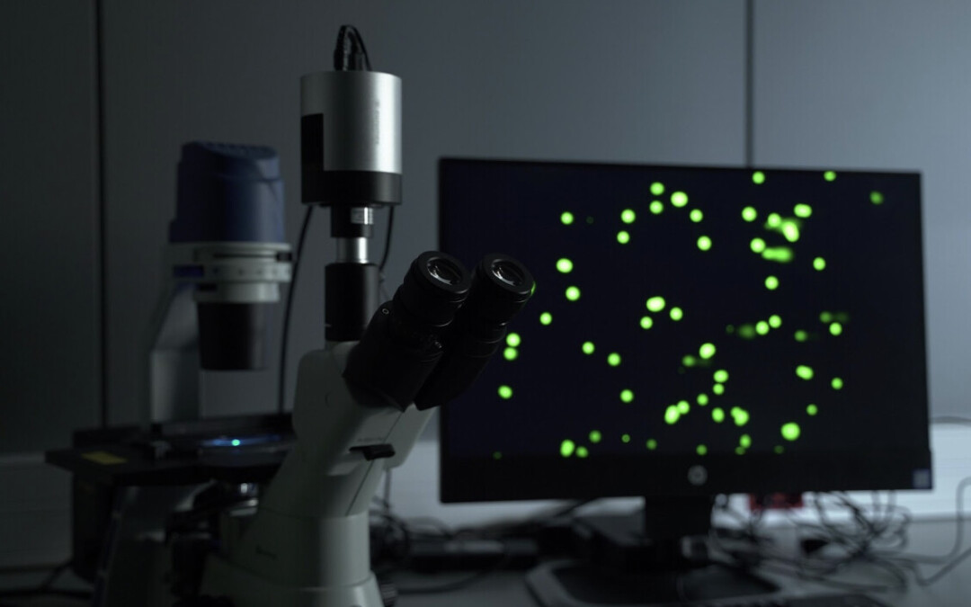 Tribiome Safe-by-Design Plant Modulators