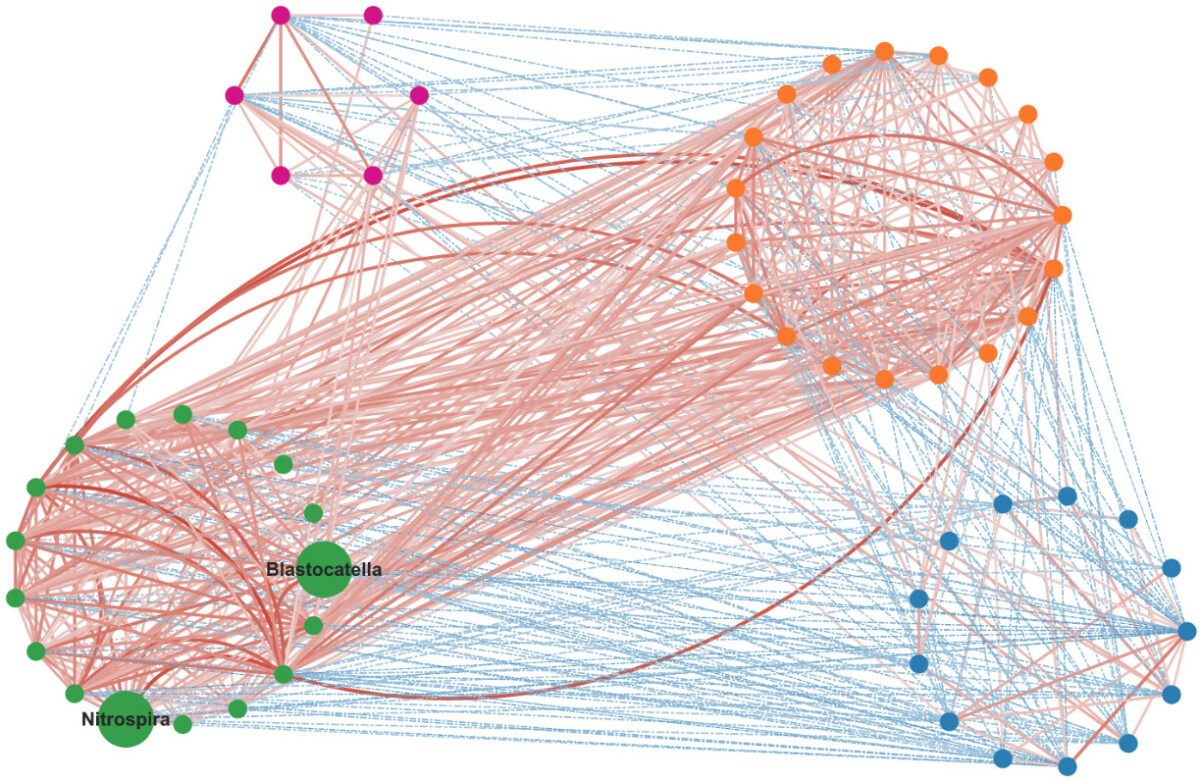 Inside rhizosphere microbiomes Inside rhizosphere microbiomes